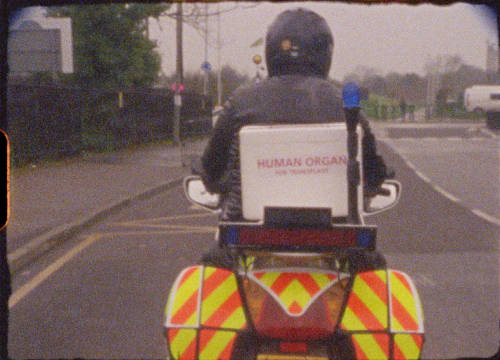 Transplant Courier Bike Back